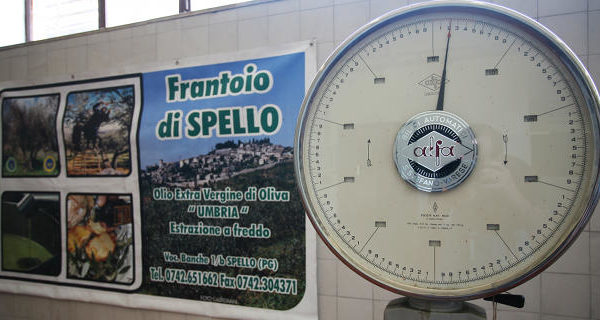 umbria-frantoio-spello3 umbria-frantoio-spello3