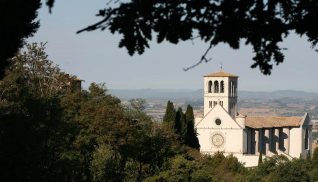 assisi assisi