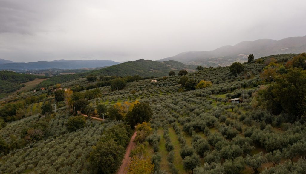 136DJI_0235@Metelli