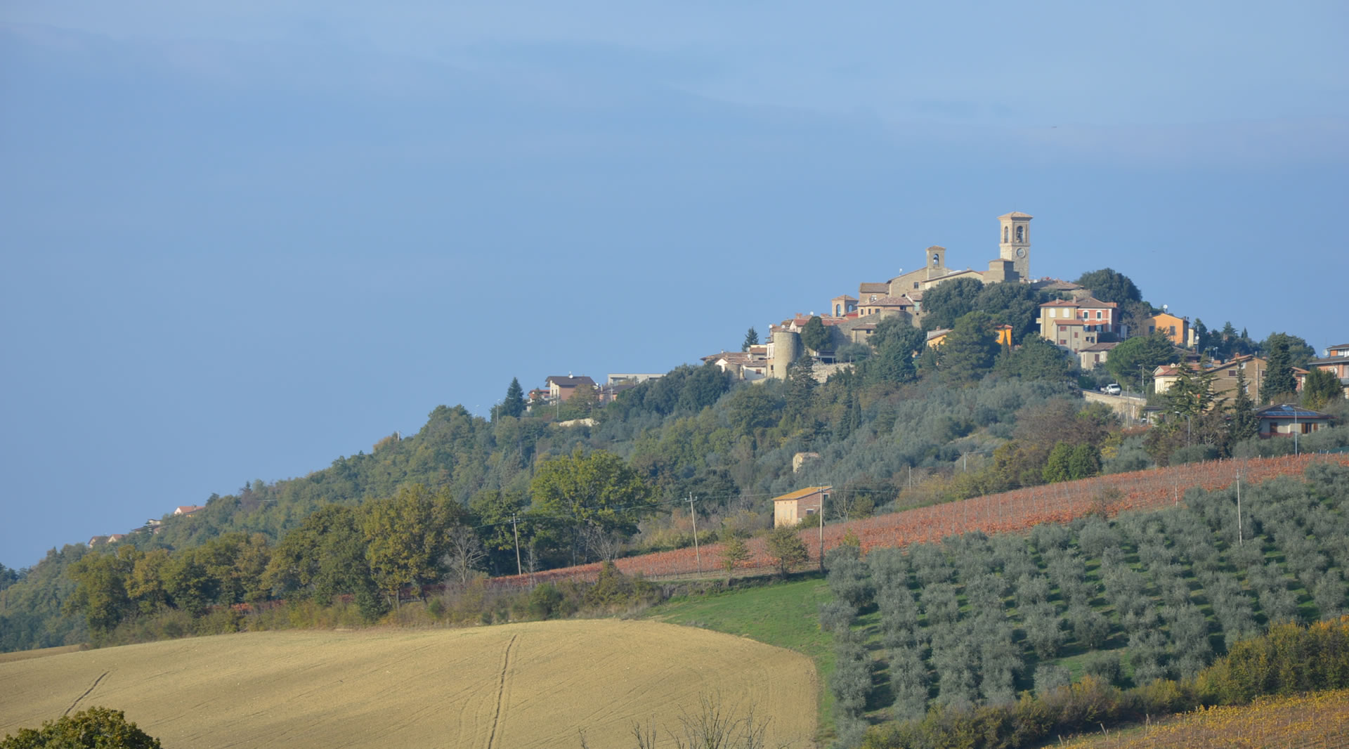 Collazzone 1