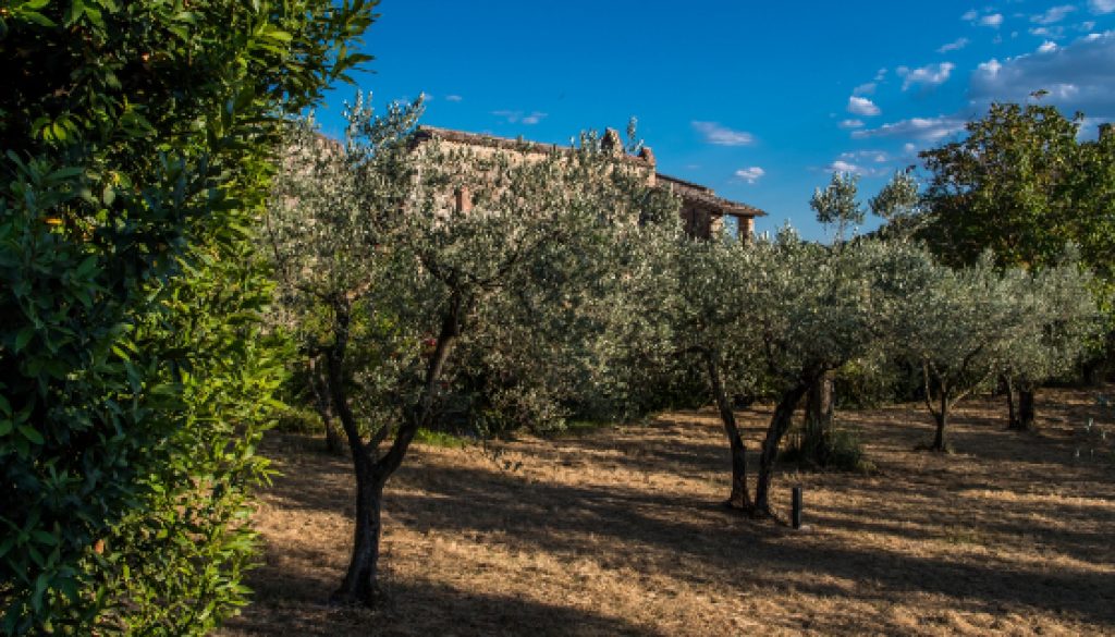 collazzone-abbazia-di-san-lorenzo-campagna