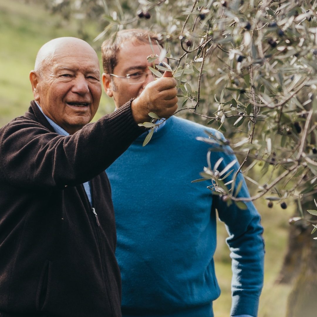 olio trevi il frantoio