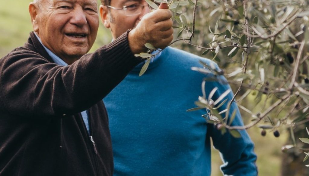 olio trevi il frantoio olio trevi il frantoio
