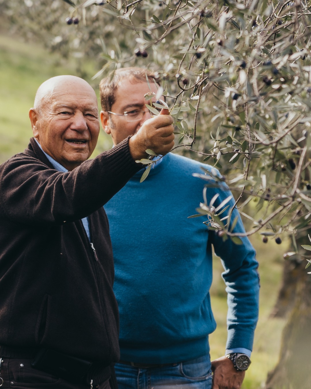 olio trevi il frantoio