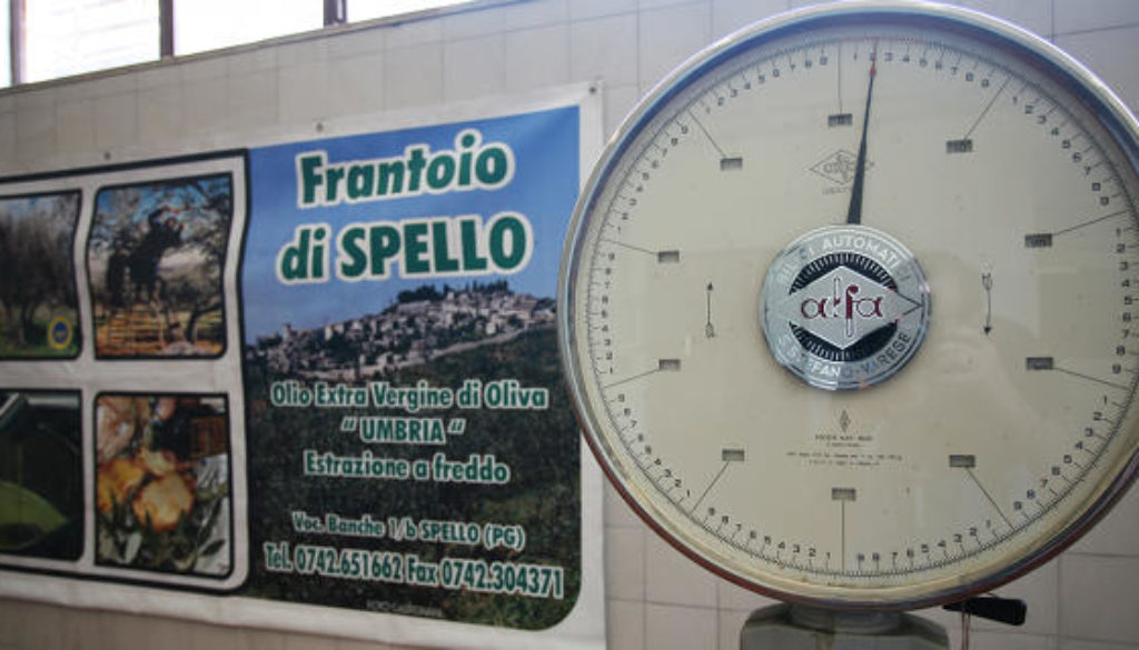 umbria-frantoio-spello3 umbria-frantoio-spello3