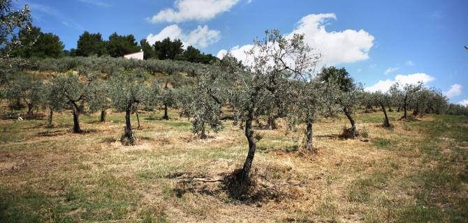 12631312_949164058485187_2827633249951050187_n