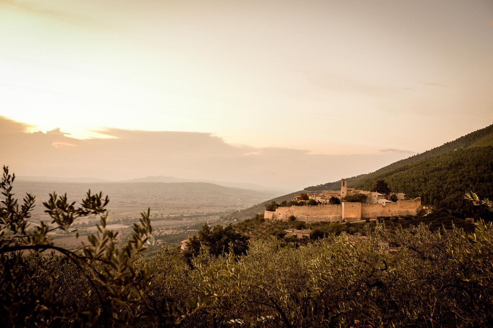 campello alto (1)