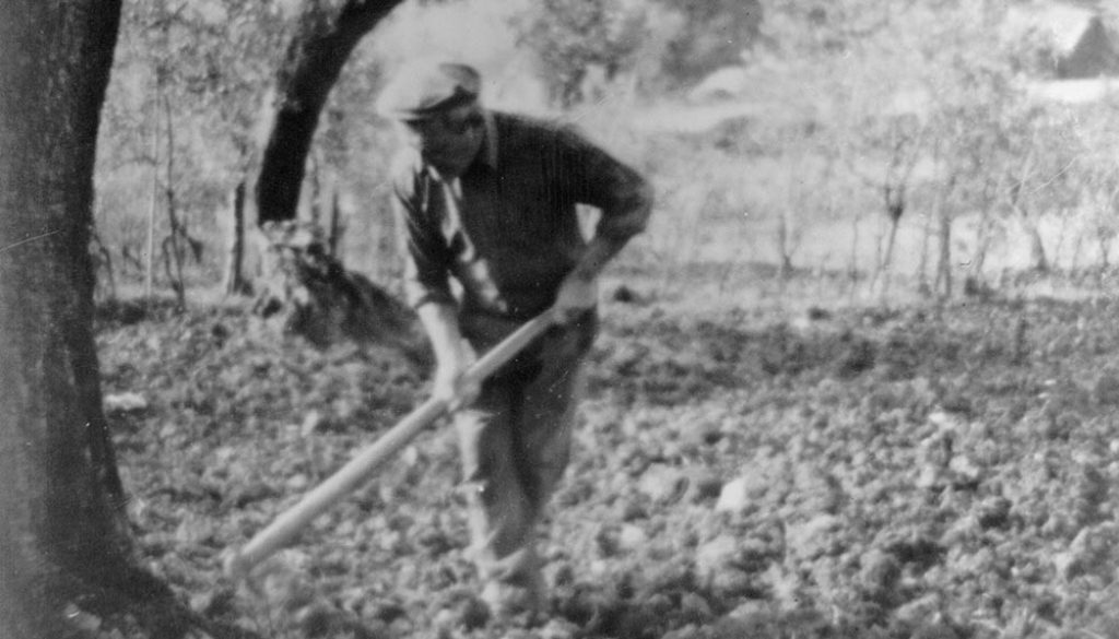 foto_storia_oleificio_guardea_2 foto_storia_oleificio_guardea_2