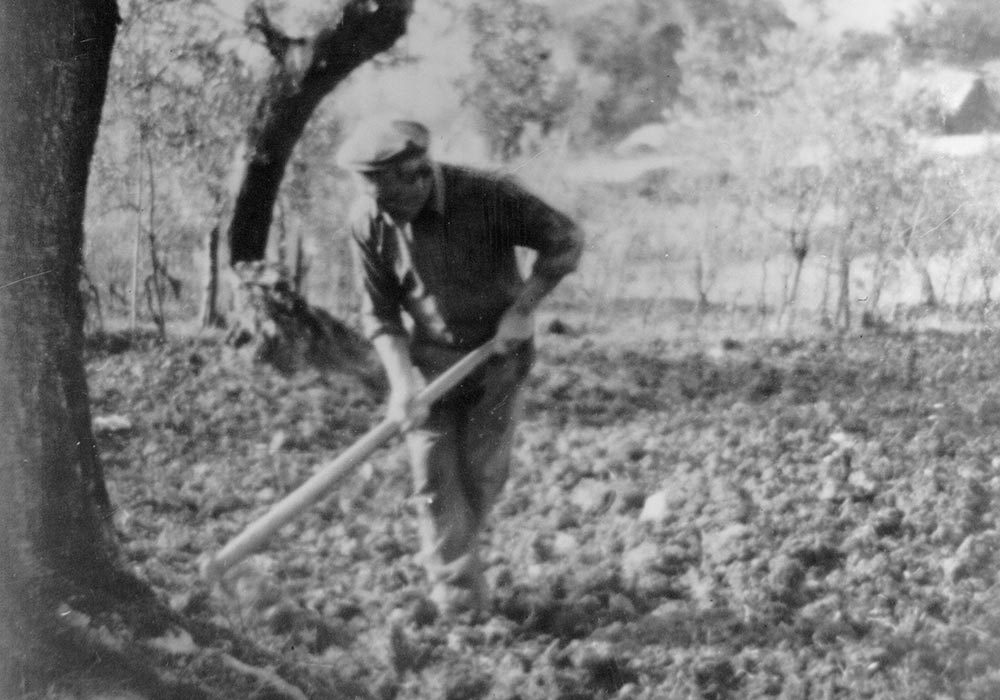 foto_storia_oleificio_guardea_2