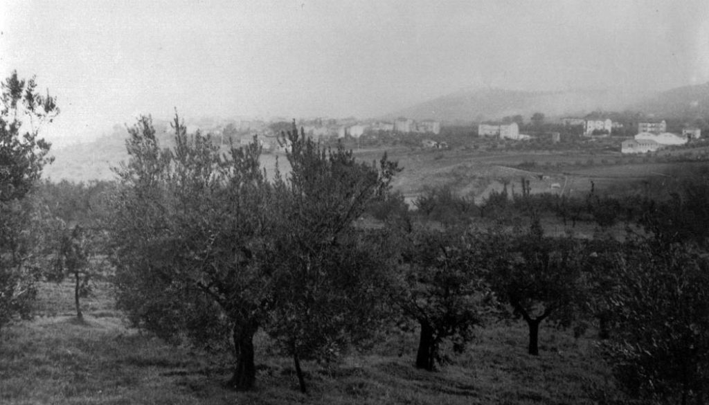 foto_storia_oleificio_guardea_3 foto_storia_oleificio_guardea_3