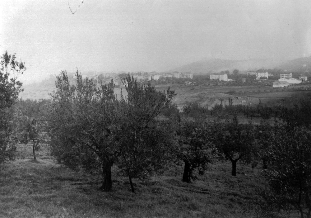 foto_storia_oleificio_guardea_3