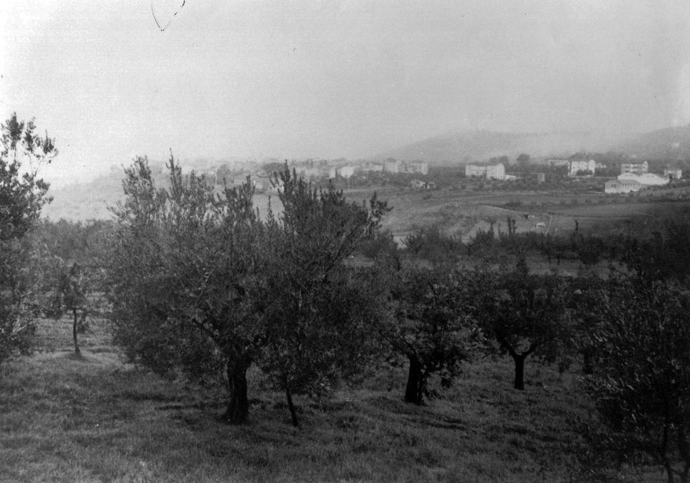 foto_storia_oleificio_guardea_3