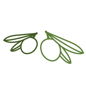 logo Amelia_page-0001