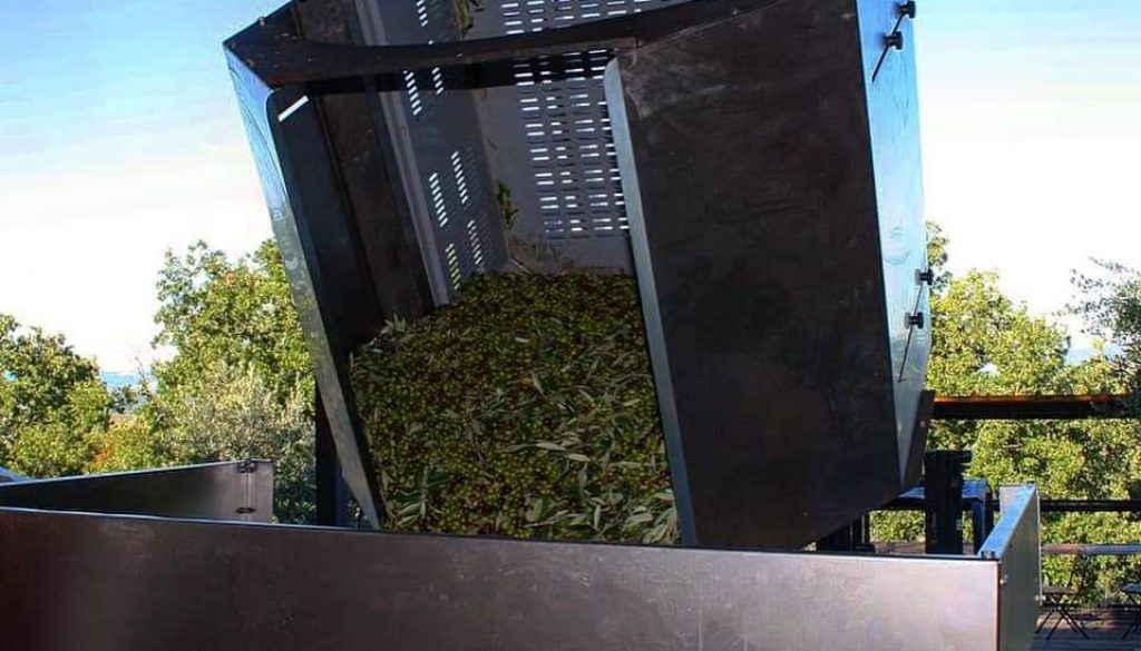 FB_IMG_1603118921420