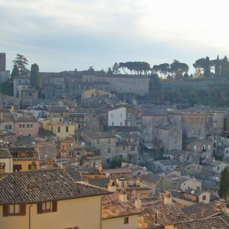 Todi