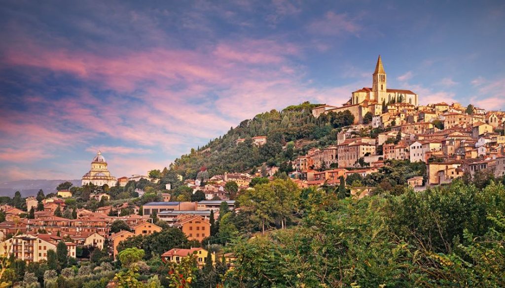 todi5 todi5