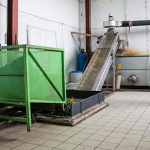 Degustazione olio in Frantoio presso oleificio-pozzuolese