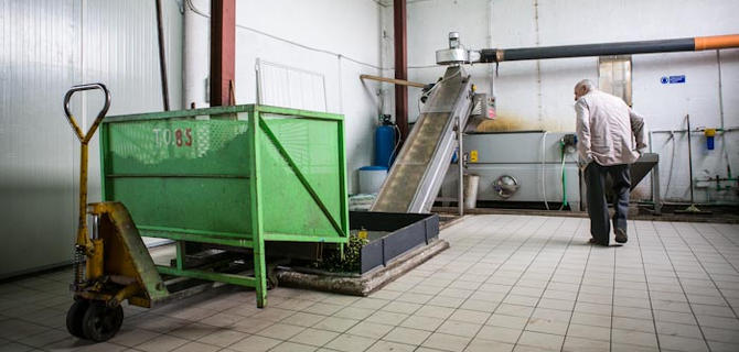 Degustazione olio in Frantoio presso oleificio-pozzuolese