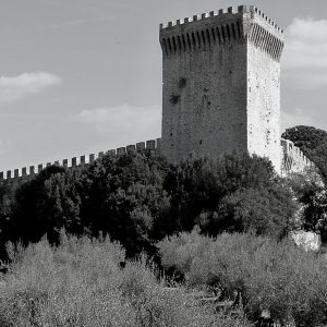 Degustazione olio presso il Frantoio a Castiglion del Lago