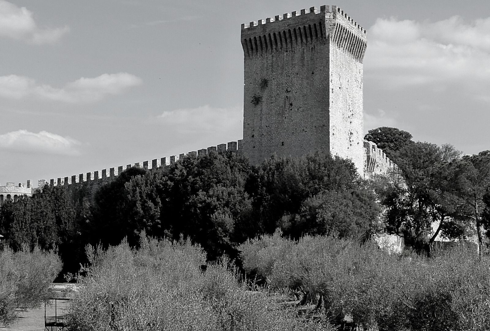 Degustazione olio presso il Frantoio a Castiglion del Lago