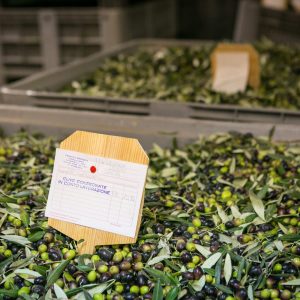 Mangiaunta al frantoio Speranza
