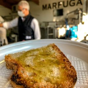 New harvest Marfuga
