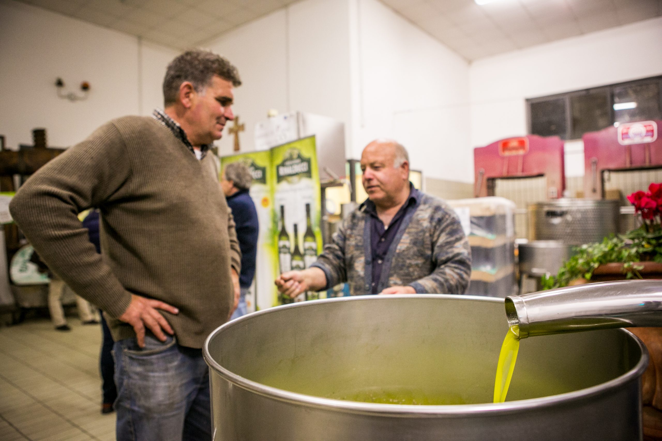 Visita al Frantoio e degustazione di olio