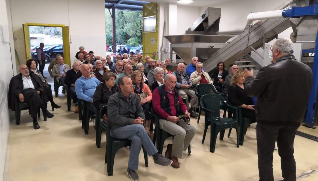 Presentazione campagna olearia