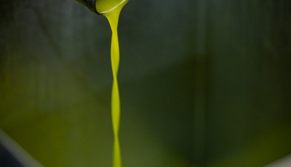 WhatsApp Image 2023-11-06 at 15.18.23 (44)