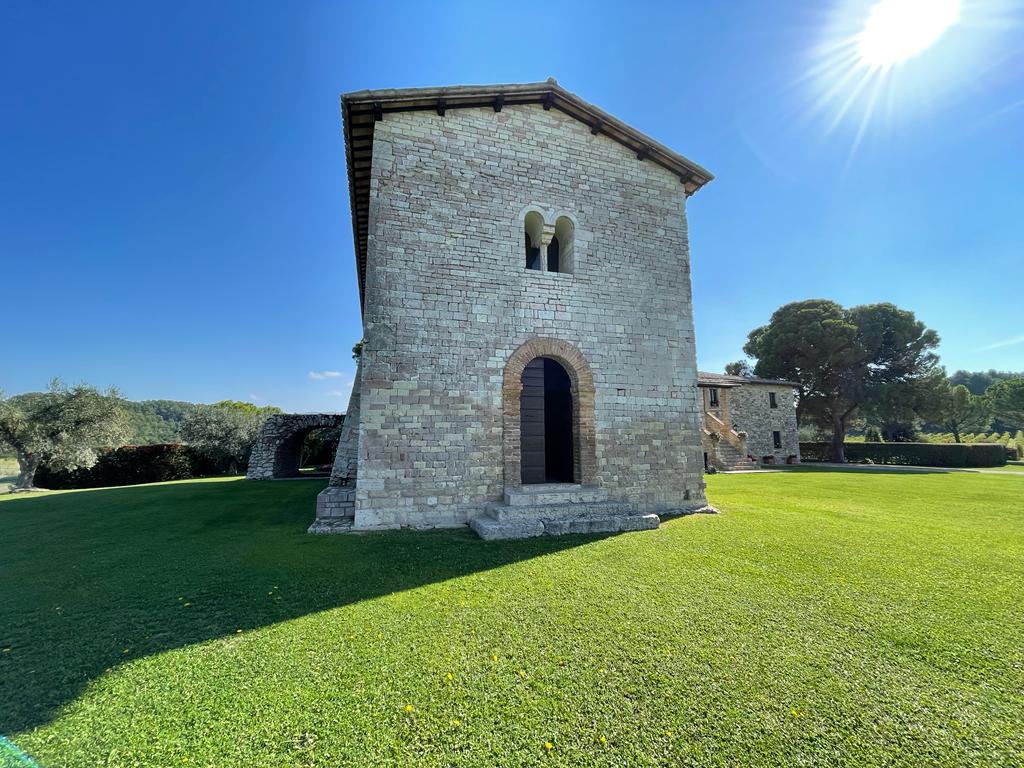 todi