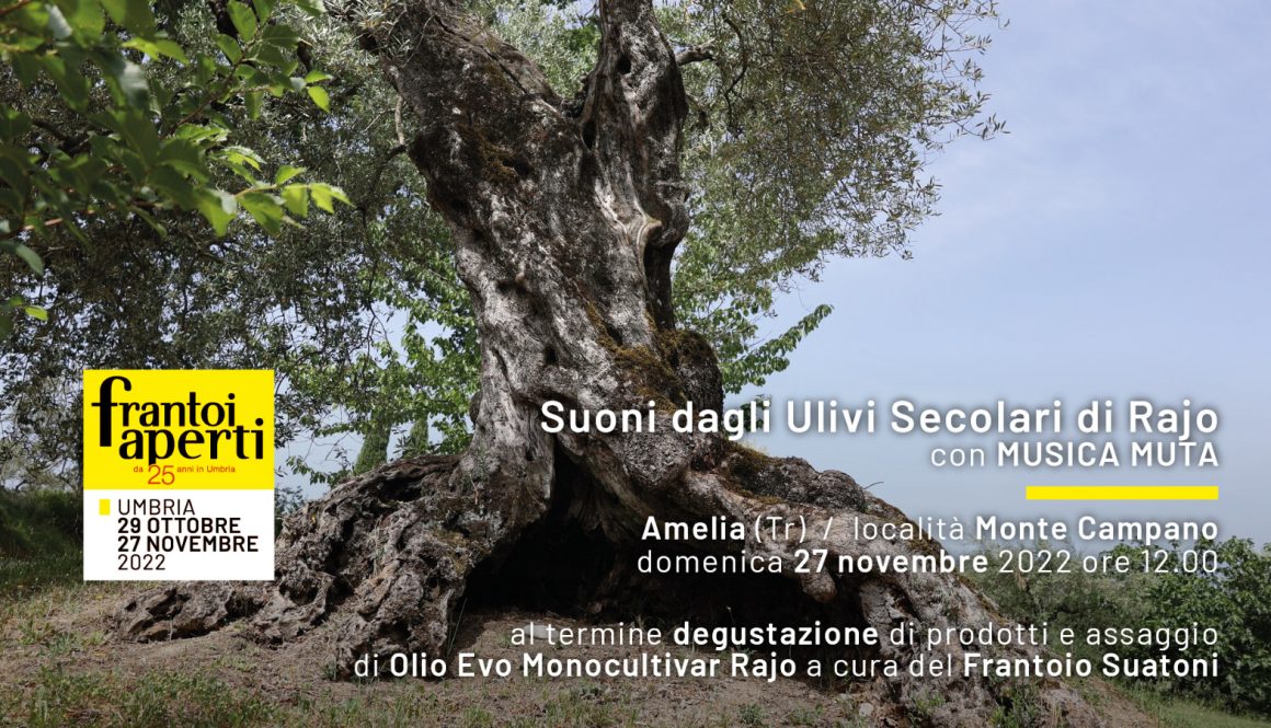 27/11/2022 Amelia (Tr) Loc. Monte Campano – Suoni dall’Oliveto secolare di Rajo