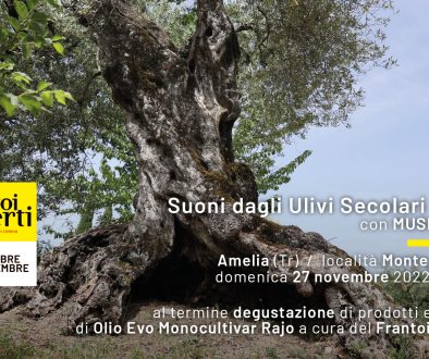 27/11/2022 Amelia (Tr) Loc. Monte Campano – Suoni dall’Oliveto secolare di Rajo