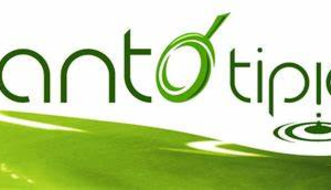 frantotipico
