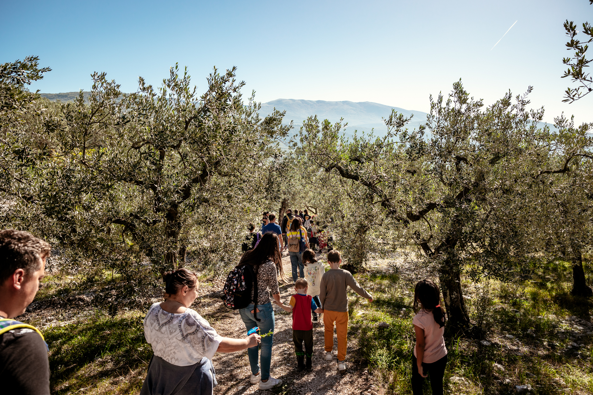 passeggiate tra gli uliviv 2
