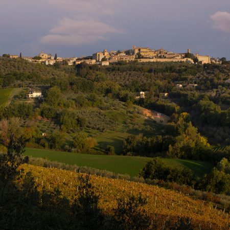 Montefalco (PG) 1