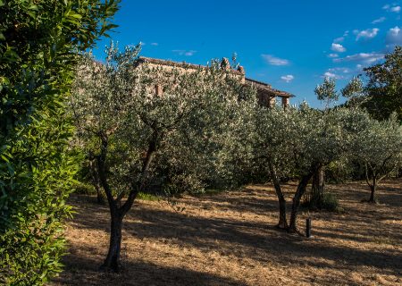 collazzone-abbazia-di-san-lorenzo-campagna