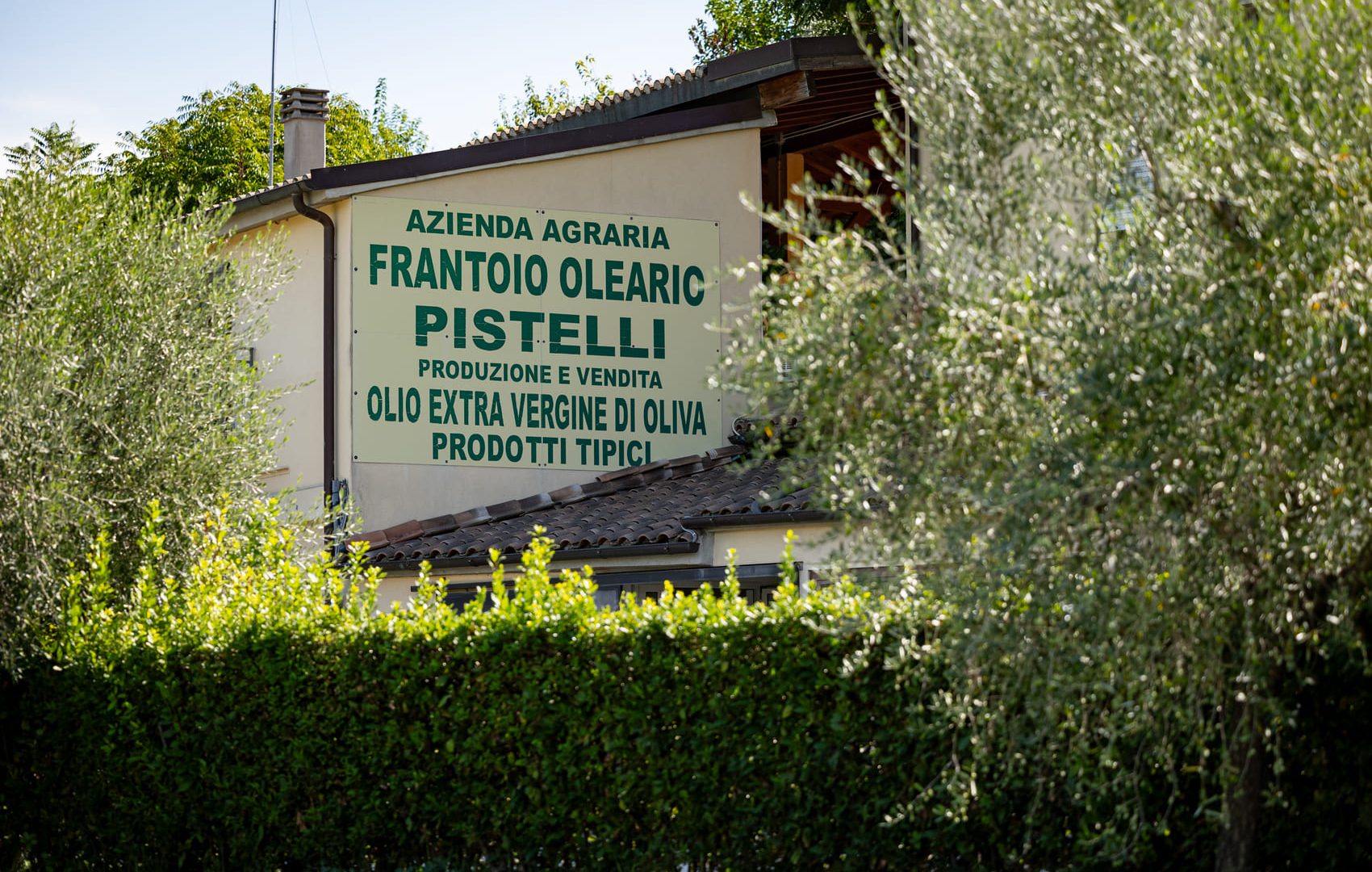 Frantoio Pistelli 1