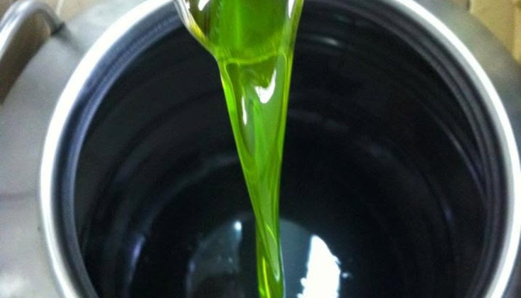 olio Ciarletti6