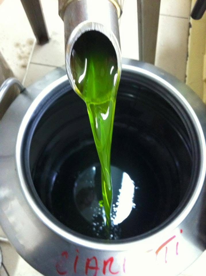 olio Ciarletti6